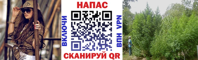 Купить наркоту Красавино Cocaine  Меф мяу мяу  АМФ  ГАШ  Псилоцибиновые грибы  Альфа ПВП 