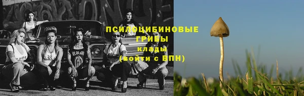 apvp Нязепетровск