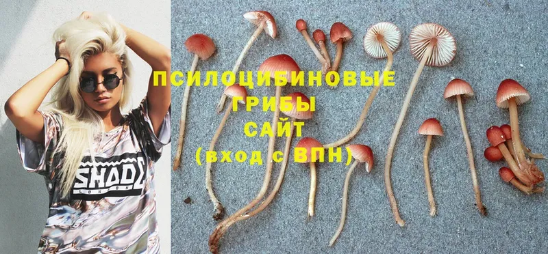 Галлюциногенные грибы Magic Shrooms  купить наркотик  Красавино 